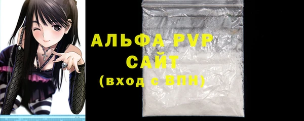 стафф Арсеньев