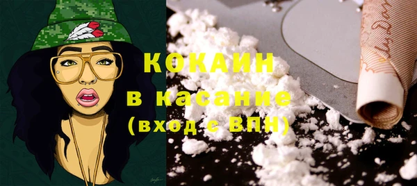 стафф Арсеньев