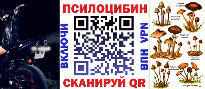 маркетплейс клад  Пудож  Псилоцибиновые грибы Psilocybe 