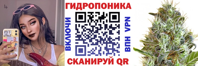 купить наркотик  сайты даркнета наркотические препараты  Шишки марихуана OG Kush  Пудож 